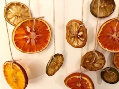 Dried Fruit Citrus Slice Rustic Wall Decor, Kitchen Accent - image2